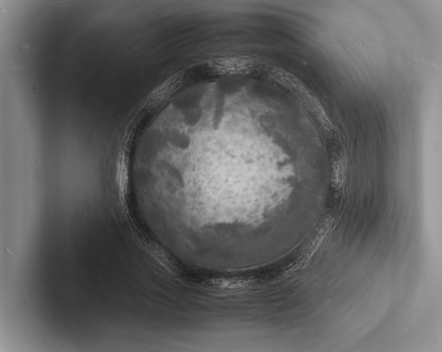 X0000103250733200809111615