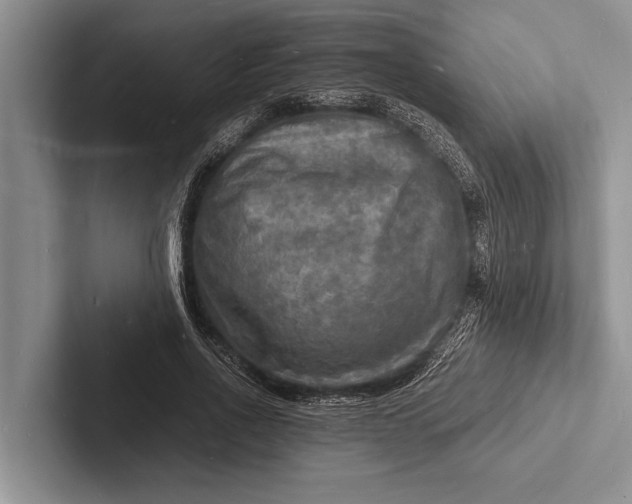 X0000103250734200809111615