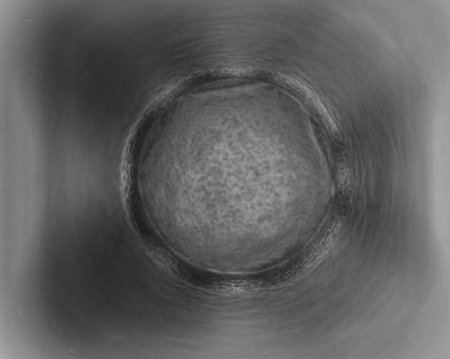 X0000103250736200809111615