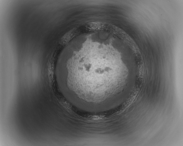 X0000103250737200809111615