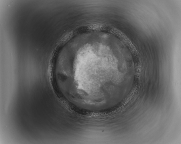 X0000103250738200809111615