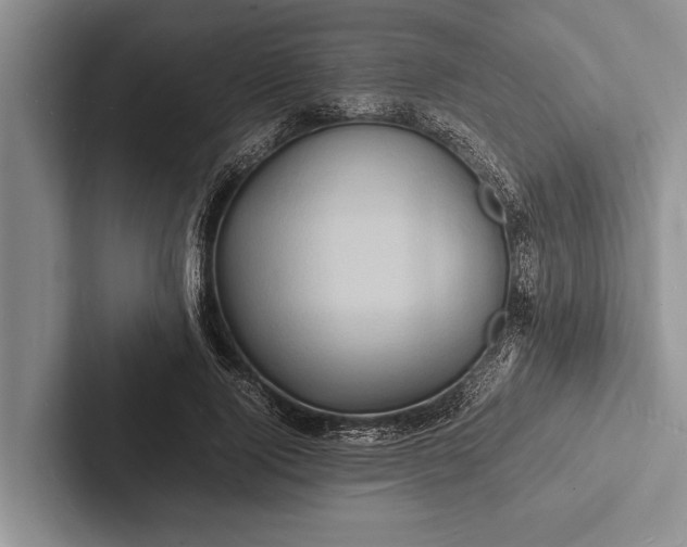 X0000103250740200809111615