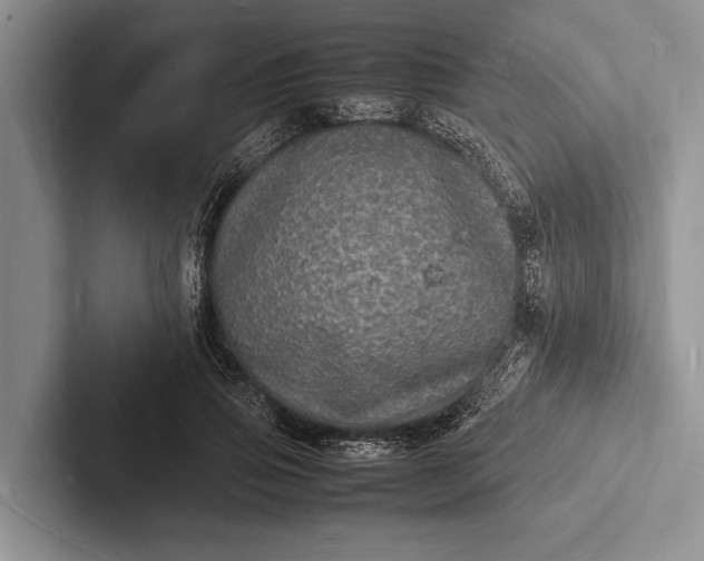 X0000103250741200809111615