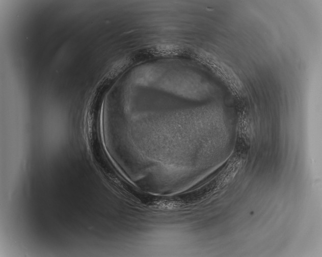 X0000103250742200809111615