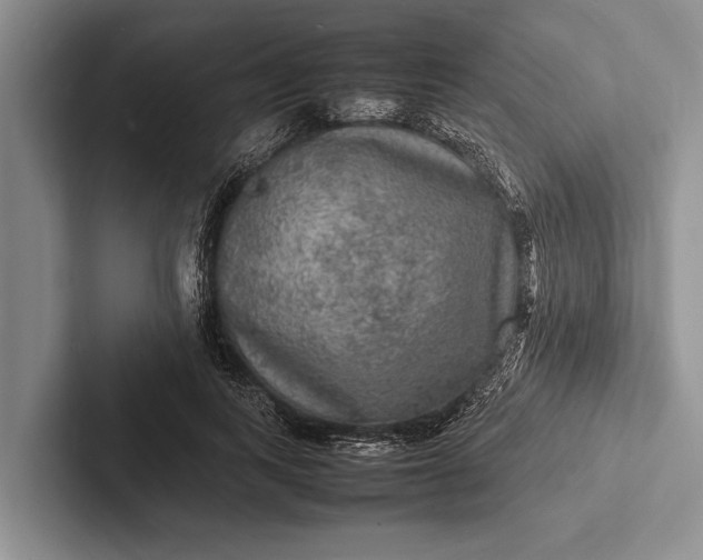 X0000103250743200809111615