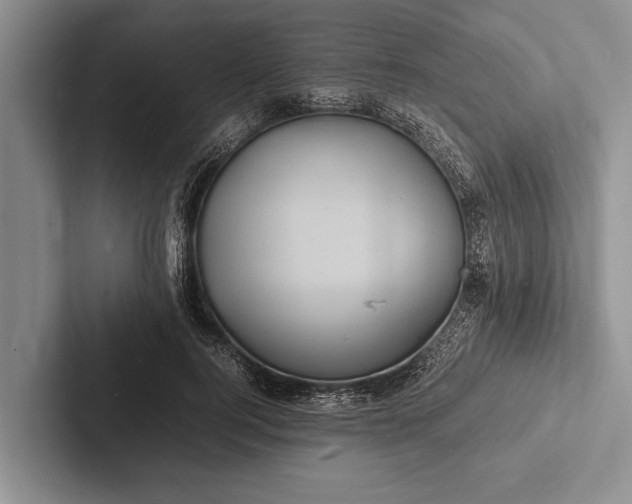 X0000103250744200809111615