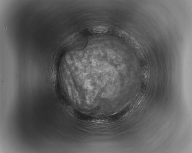 X0000103250745200809111615