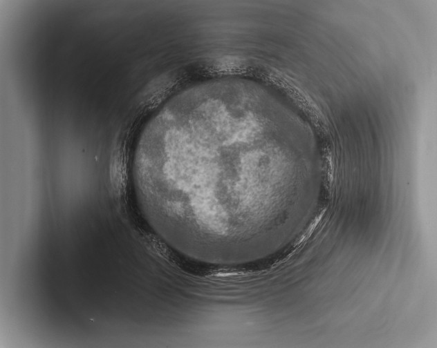 X0000103250746200809111615