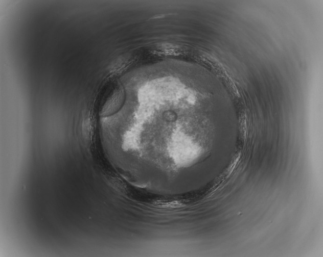 X0000103250747200809111615
