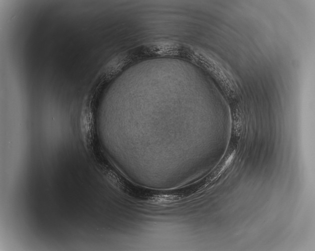 X0000103250748200809111615