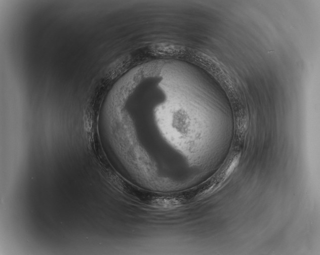 X0000103250749200809111615