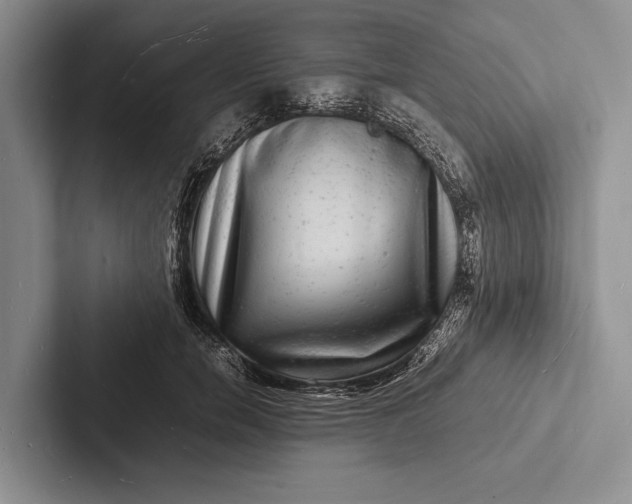 X0000103250750200809111615