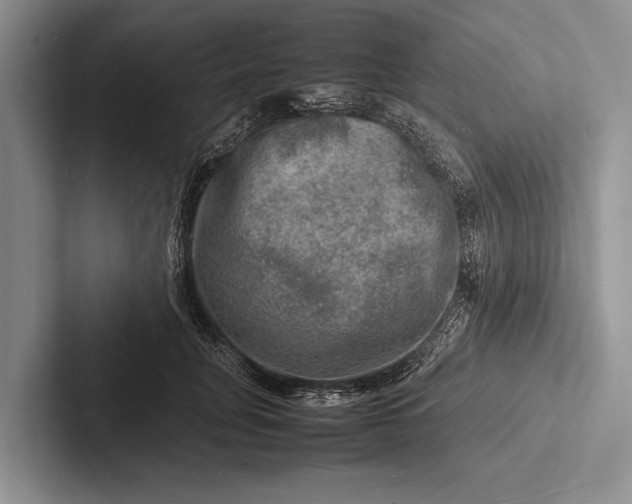 X0000103250751200809111615