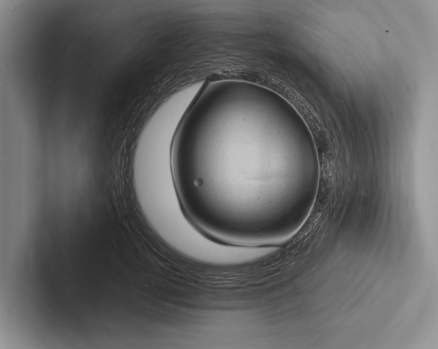 X0000103250752200809111615