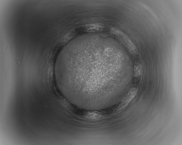 X0000103250753200809111615