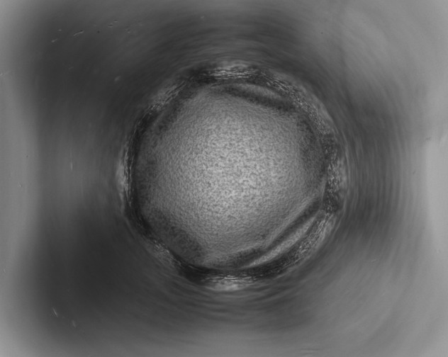 X0000103250755200809111615