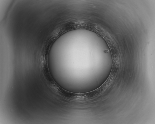 X0000103250756200809111615