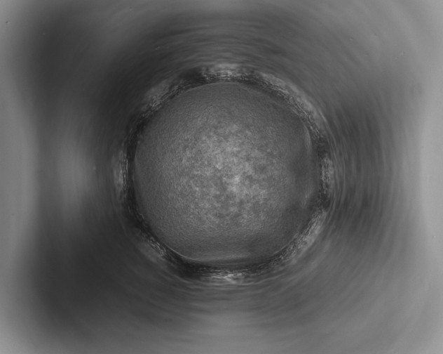 X0000103250760200809111615