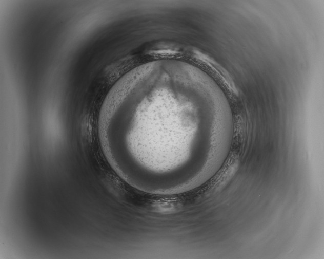 X0000103250761200809111615
