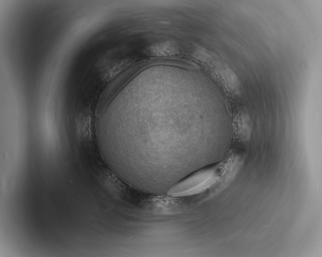 X0000103250762200809111615