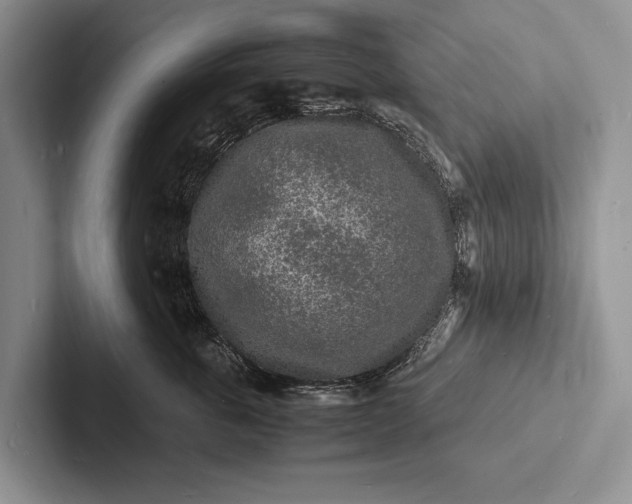 X0000103250763200809111615