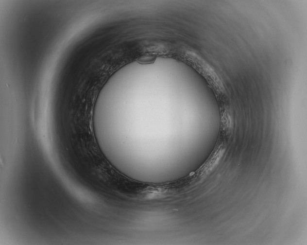 X0000103250764200809111615