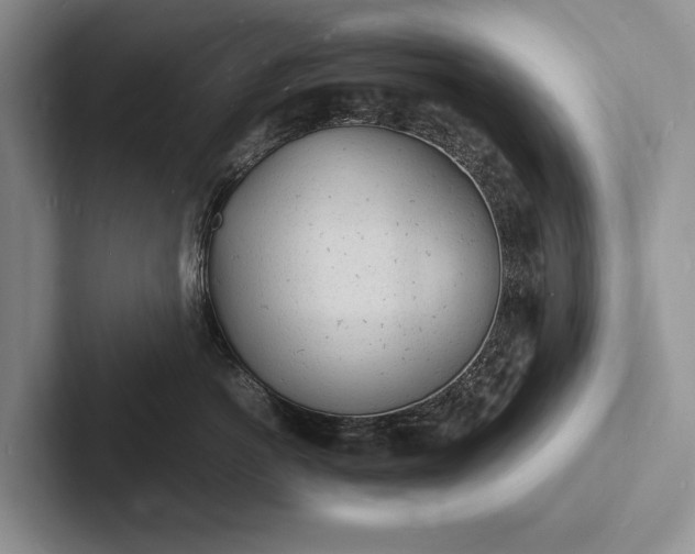 X0000103250766200809111615