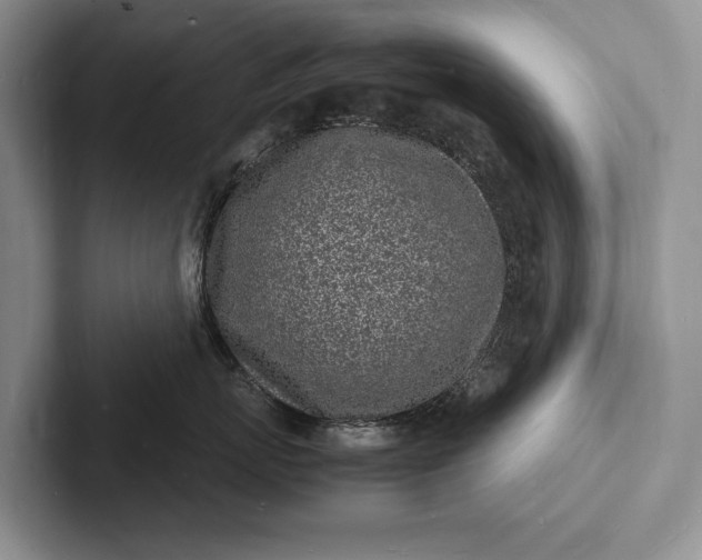 X0000103250767200809111615