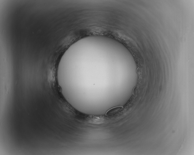 X0000103250768200809111615