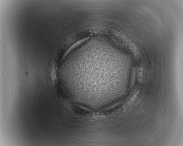 X0000103250770200809111614