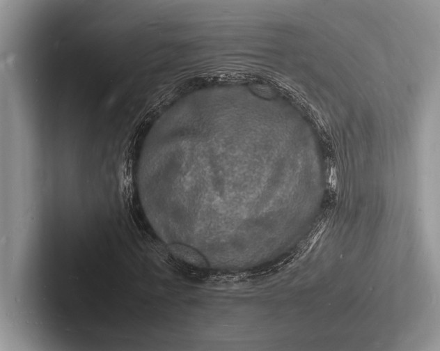 X0000103250771200809111614