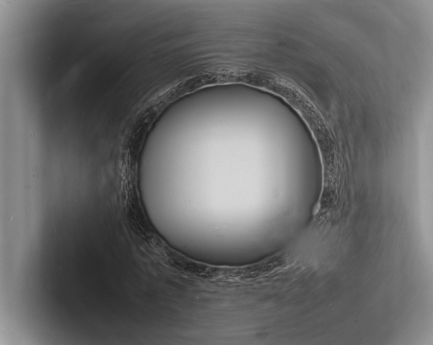 X0000103250773200809111614