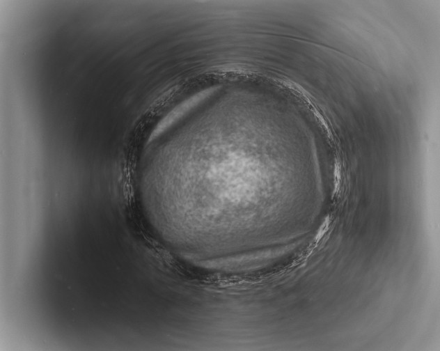X0000103250774200809111614