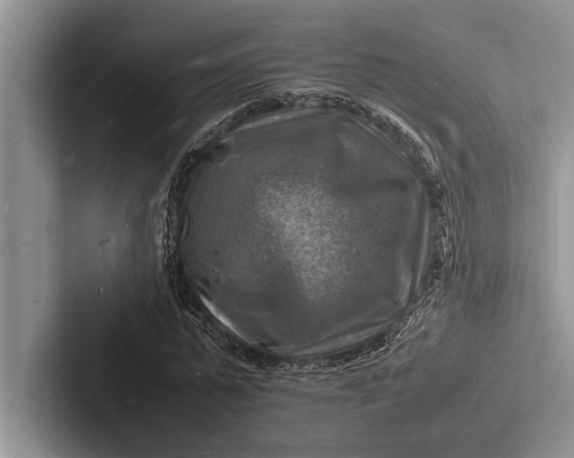 X0000103250775200809111614