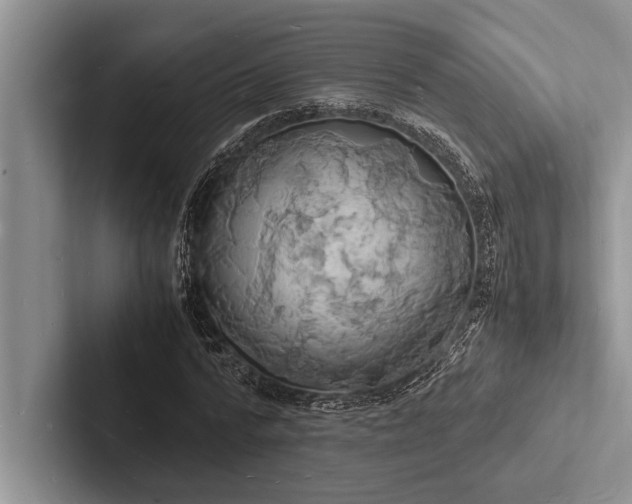 X0000103250776200809111614