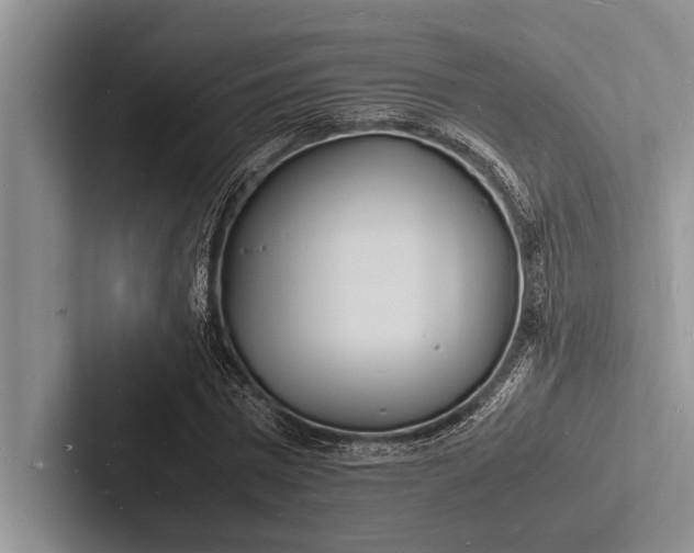 X0000103250777200809111614