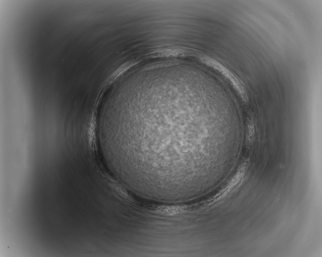 X0000103250778200809111614