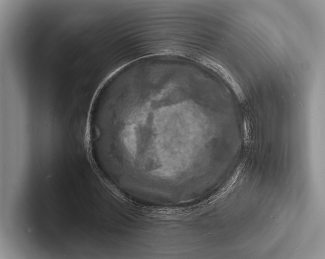 X0000103250780200809111614