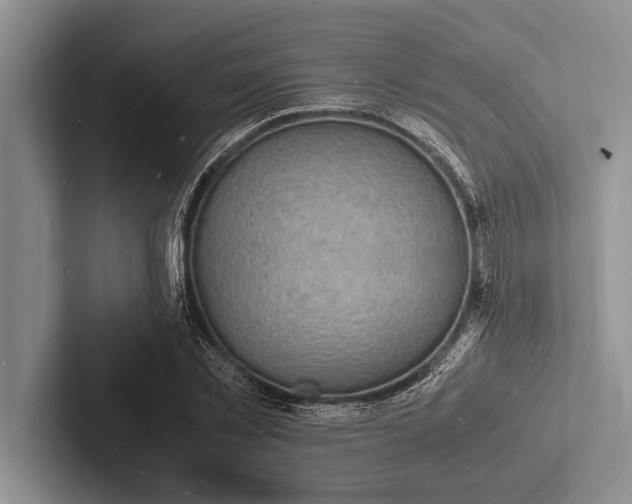 X0000103250781200809111614