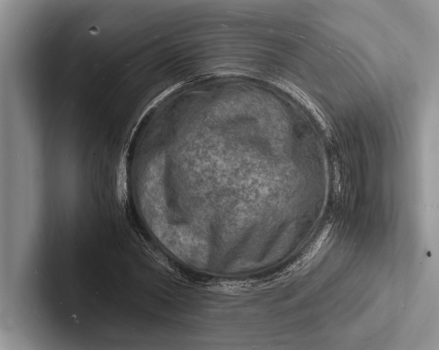 X0000103250782200809111614
