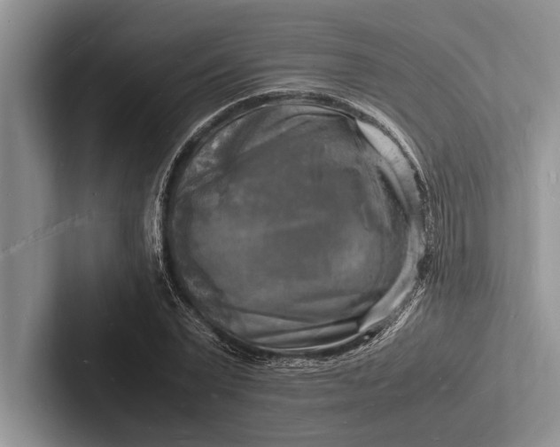 X0000103250783200809111614