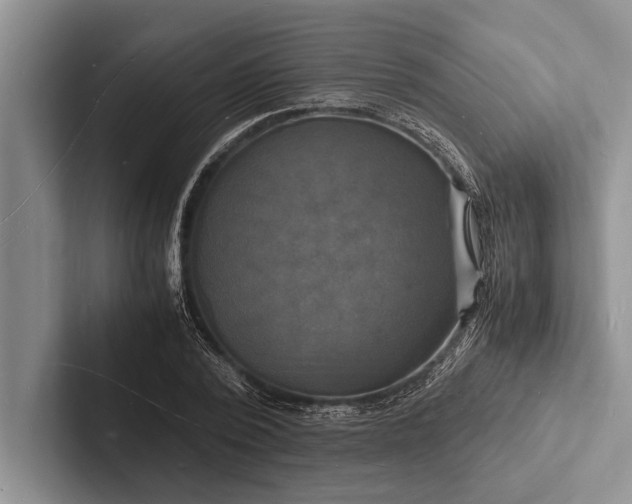 X0000103250784200809111614