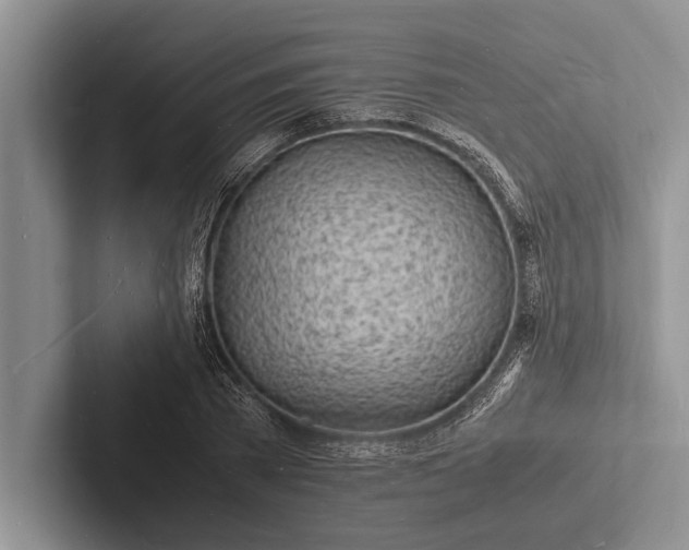 X0000103250785200809111614