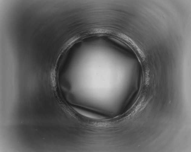 X0000103250786200809111614
