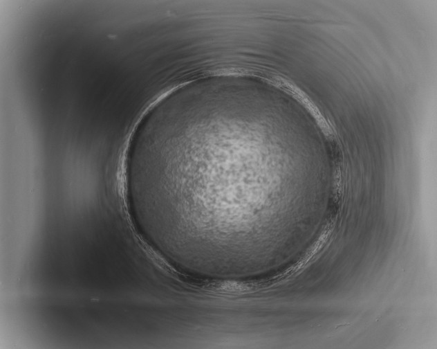 X0000103250787200809111614