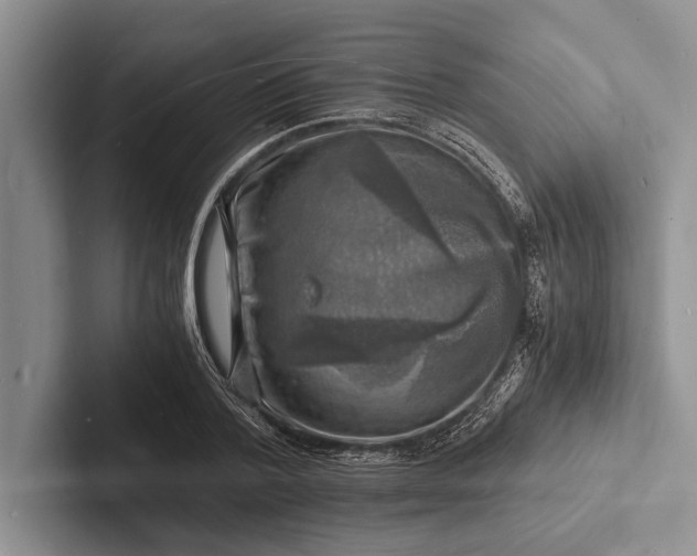 X0000103250788200809111614