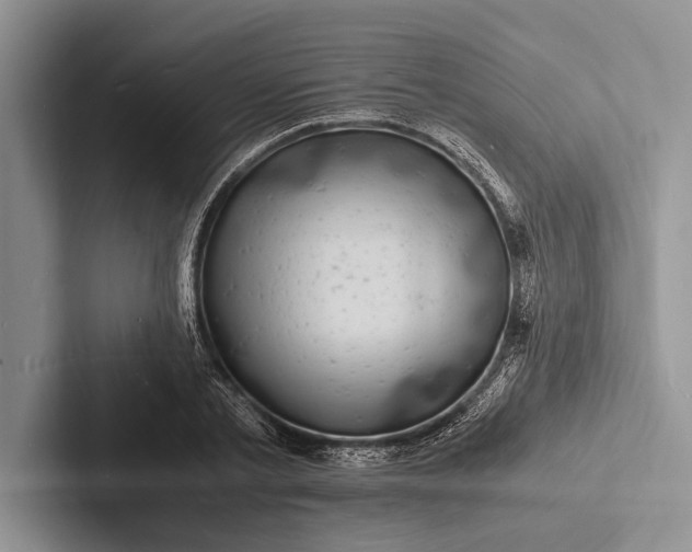 X0000103250789200809111614