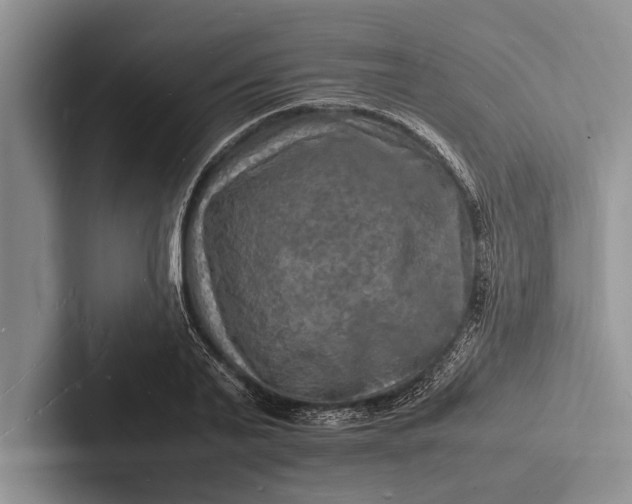 X0000103250791200809111614