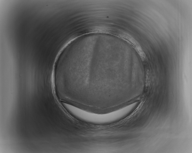 X0000103250796200809111614