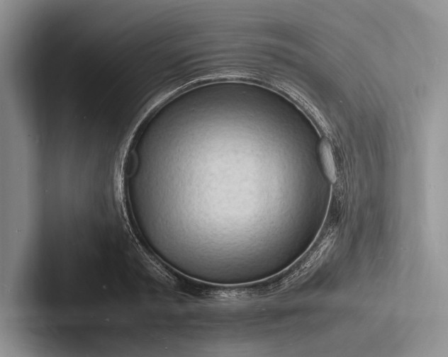 X0000103250797200809111614